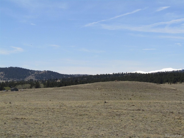 66 Grand Teton Dr, Hartsel, CO 80449 - photo 26