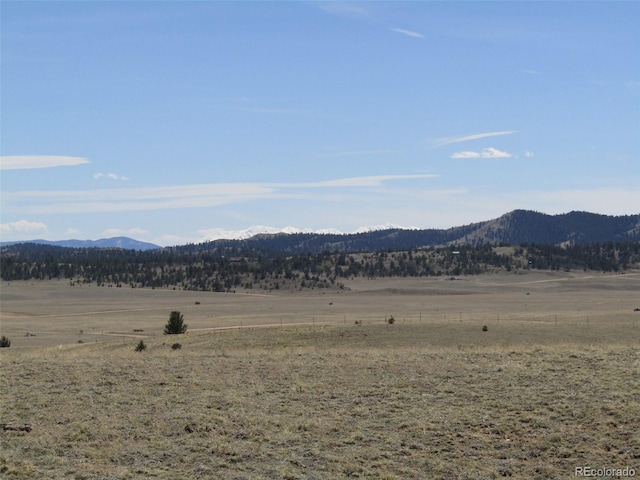 66 Grand Teton Dr, Hartsel, CO 80449 - photo 27