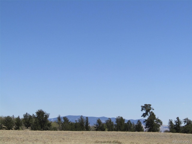 66 Grand Teton Dr, Hartsel, CO 80449 - photo 28