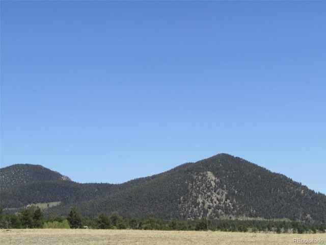 66 Grand Teton Dr, Hartsel, CO 80449 - photo 29