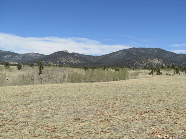66 Grand Teton Dr, Hartsel, CO 80449 - photo 31