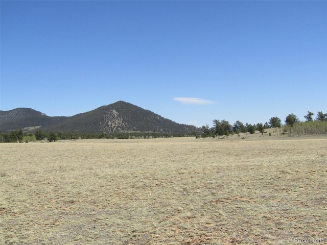 66 Grand Teton Dr, Hartsel, CO 80449 - photo 37