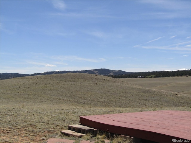 66 Grand Teton Dr, Hartsel, CO 80449 - photo 41