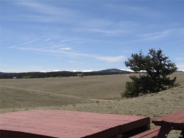 66 Grand Teton Dr, Hartsel, CO 80449 - photo 42