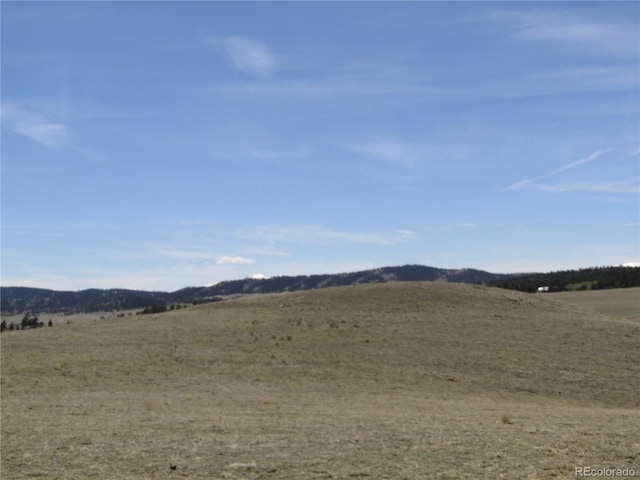 66 Grand Teton Dr, Hartsel, CO 80449 - photo 43