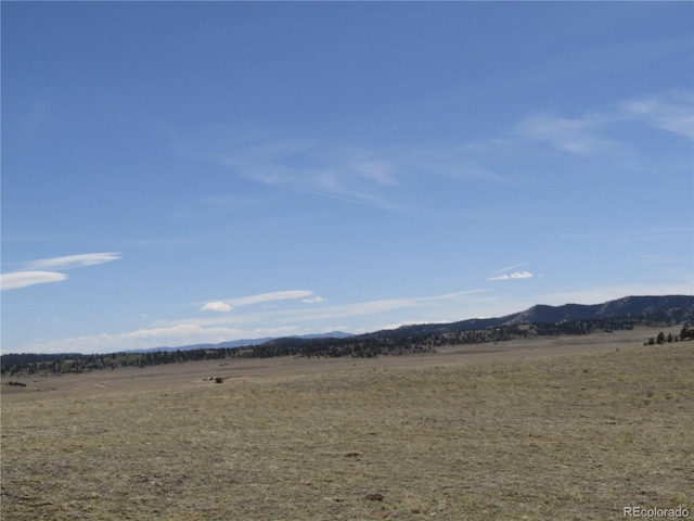 66 Grand Teton Dr, Hartsel, CO 80449 - photo 44
