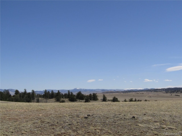 66 Grand Teton Dr, Hartsel, CO 80449 - photo 45