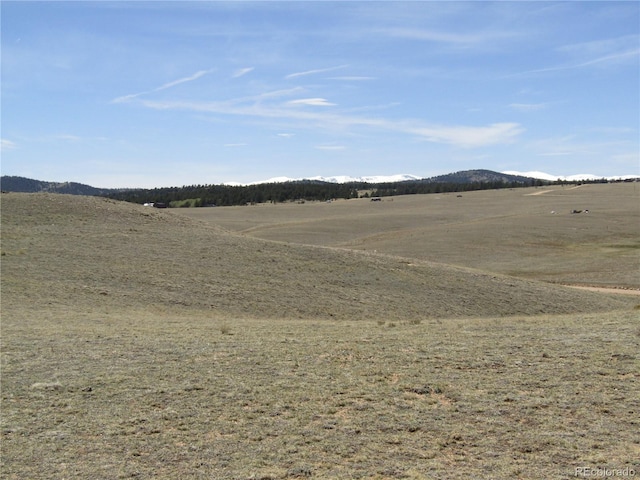 66 Grand Teton Dr, Hartsel, CO 80449 - photo 46