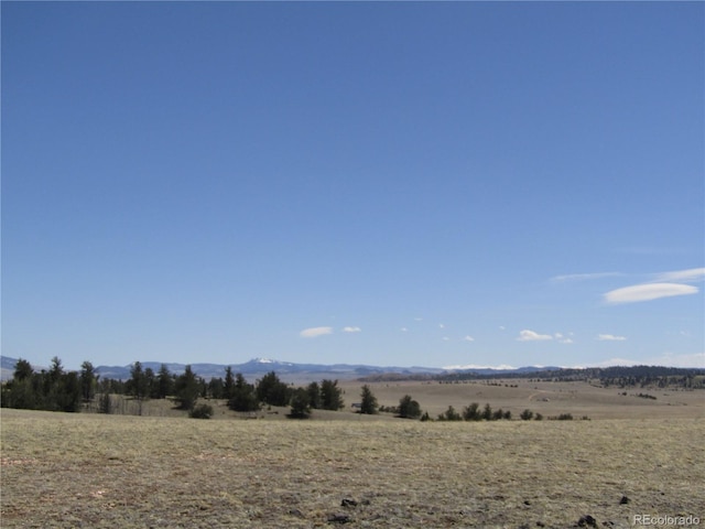 66 Grand Teton Dr, Hartsel, CO 80449 - photo 47