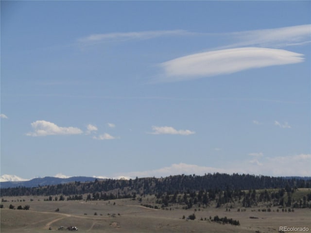 66 Grand Teton Dr, Hartsel, CO 80449 - photo 48