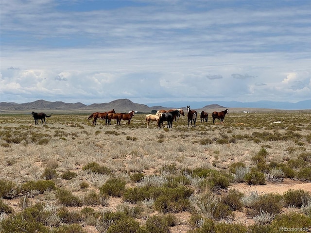 00 County Rd 10, Blanca, CO 81123 - photo 4