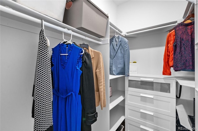 12215 Viewpoint Dr, Lakewood, CO 80401 - view of walk in closet