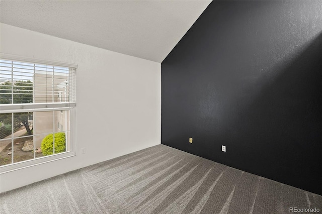 3110 Van Teylingen Dr Unit C, Colorado Springs, CO 80917 - carpeted empty room with lofted ceiling