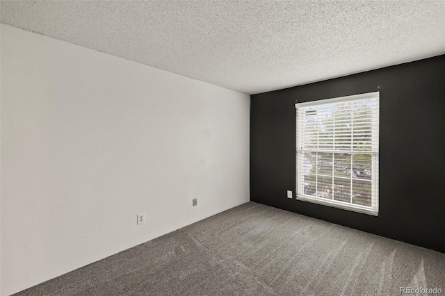 3110 Van Teylingen Dr Unit C, Colorado Springs, CO 80917 - carpeted empty room featuring a textured ceiling