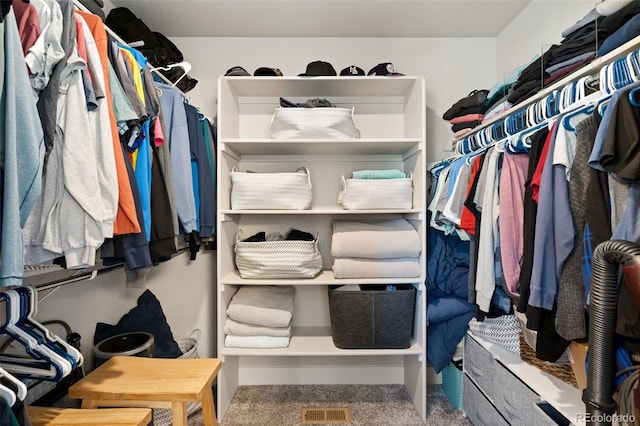 208 Dorothy Dr, Berthoud, CO 80513 - spacious closet featuring visible vents and carpet flooring