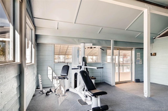 exercise room with a wealth of natural light