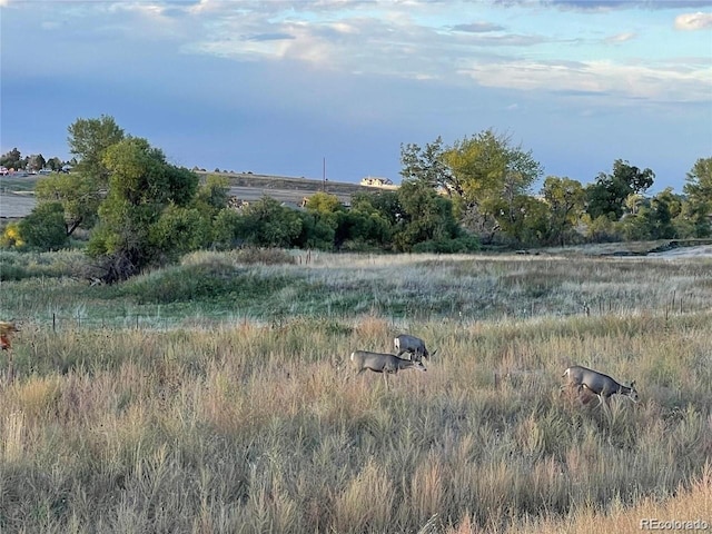 view of local wilderness featuring a rural view