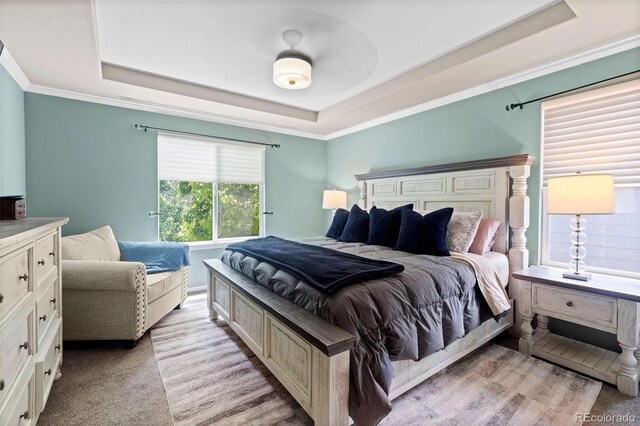 5301 Clovervale Cir, Highlands Ranch, CO 80130 - bedroom featuring a raised ceiling and crown molding