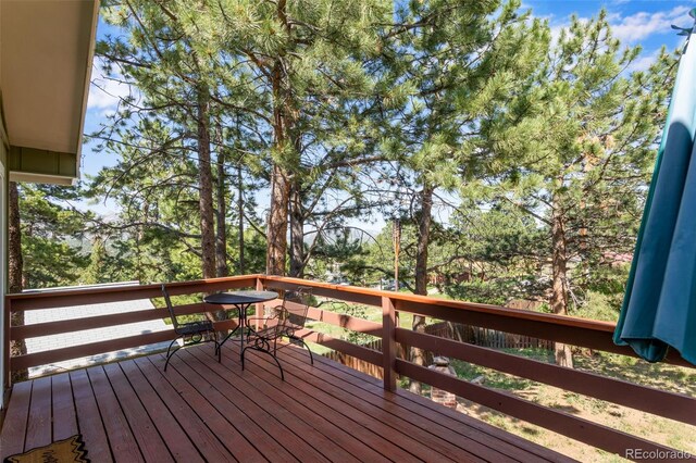 500 Elm Ave, Estes Park, CO 80517 - photo 23