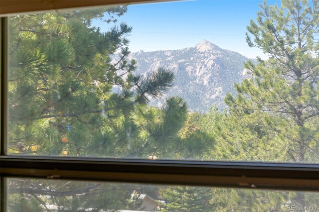 500 Elm Ave, Estes Park, CO 80517 - photo 27