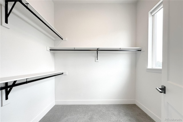 9052 Harlan St, Westminster, CO 80031 - photo 17