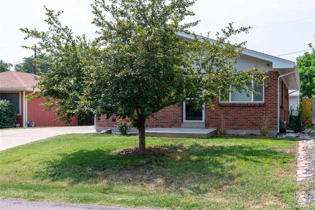 view of property hidden behind natural elements featuring a front lawn