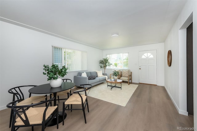 living room featuring hardwood / wood-style flooring