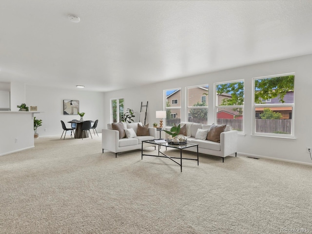 1178 Lark Ln, Brighton, CO 80601 - photo 12