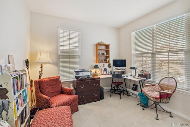 office featuring carpet floors and baseboards