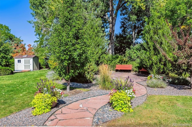 view of yard featuring a storage shed