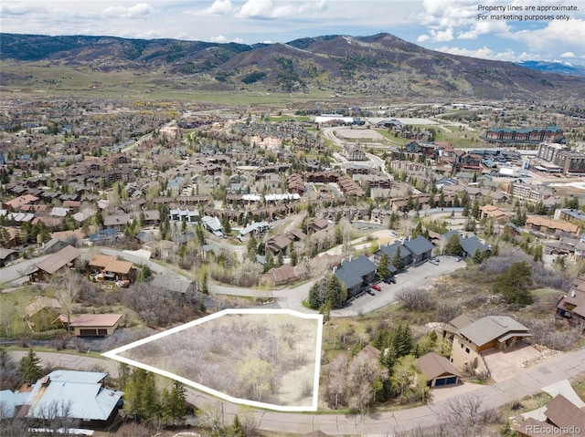 Listing photo 3 for 2725 Ski Trail Ln, Steamboat Springs CO 80487