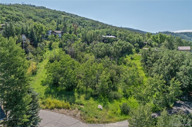 2725 Ski Trail Ln, Steamboat Springs CO, 80487 land for sale