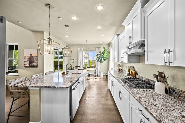 15033 Delhi Ave, Parker, CO 80134 - kitchen with under cabinet range hood, a sink, stainless steel appliances, recessed lighting, and white cabinets