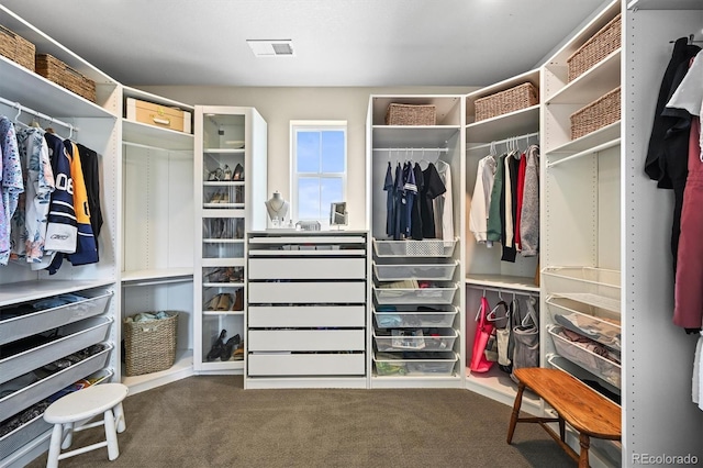 15033 Delhi Ave, Parker, CO 80134 - walk in closet featuring carpet