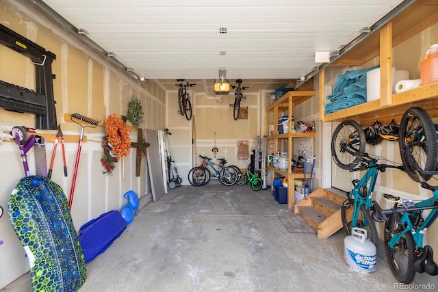 327 Summit Lift Ct, Granby, CO 80446 - garage with a garage door opener