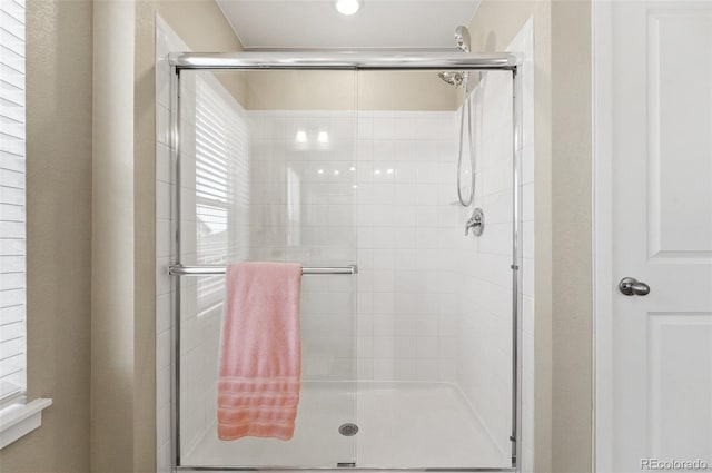 2128 Dexter St, Mead, CO 80542 - full bathroom featuring a stall shower
