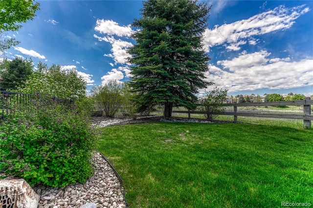 9315 E Aspen Hill Ln, Lone Tree, CO 80124 - view of yard