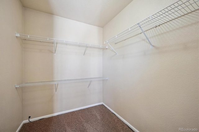 spacious closet with carpet