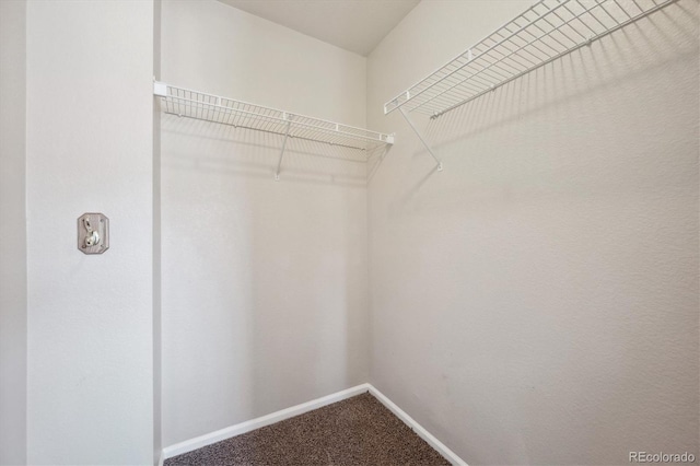 spacious closet with dark colored carpet