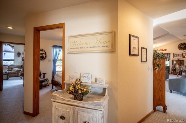 7280 County Road 178, Salida, CO 81201 - photo 34