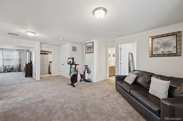 11357 Esperanza Way, Fountain, CO 80817 - photo 16