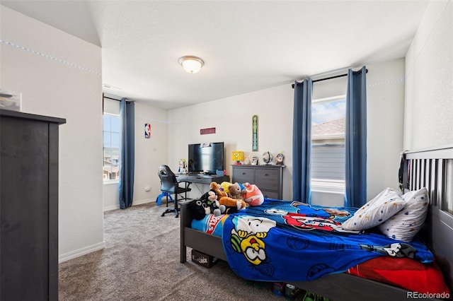 11357 Esperanza Way, Fountain, CO 80817 - photo 24