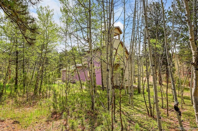 101 Campbell Rd, Bailey, CO 80421 - view of wooded area