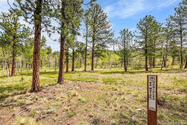 101 Campbell Rd, Bailey, CO 80421 - view of yard with a view of trees