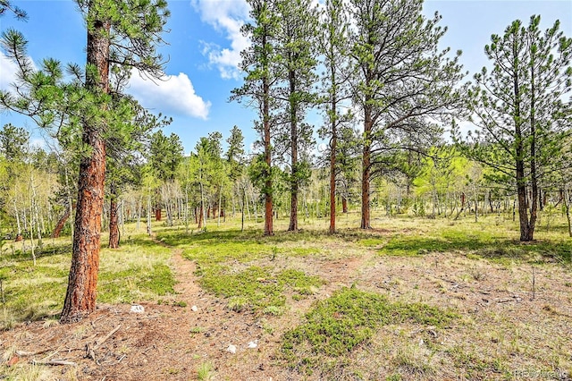 101 Campbell Rd, Bailey, CO 80421 - view of yard with a forest view