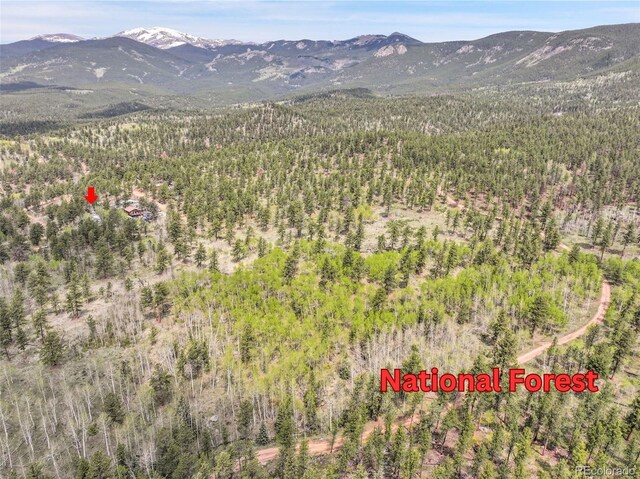 101 Campbell Rd, Bailey, CO 80421 - view of mountain backdrop with a heavily wooded area