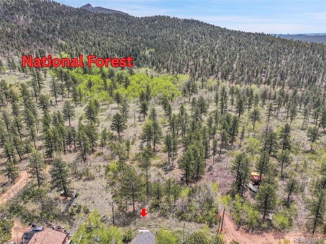 101 Campbell Rd, Bailey, CO 80421 - view of mountain backdrop featuring a heavily wooded area