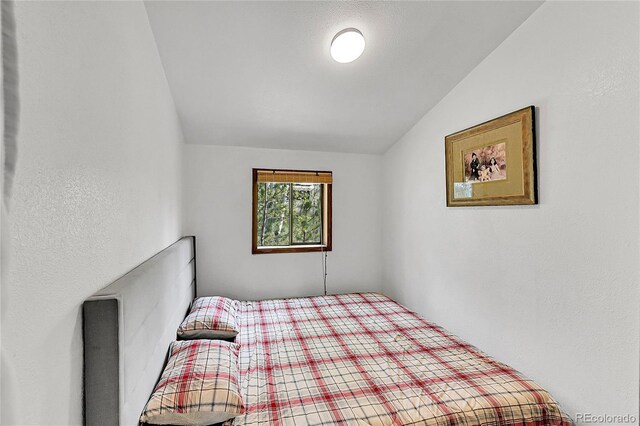 101 Campbell Rd, Bailey, CO 80421 - bedroom with vaulted ceiling