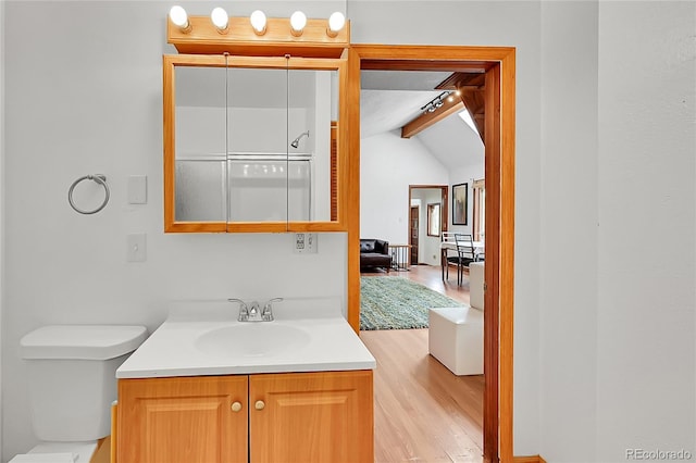 101 Campbell Rd, Bailey, CO 80421 - bathroom with wood finished floors, vanity, and toilet