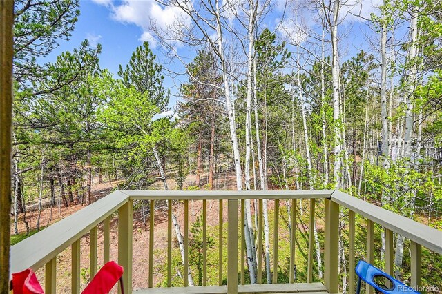 101 Campbell Rd, Bailey, CO 80421 - view of wooden terrace